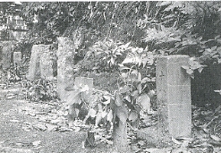 写真2-2-17　浄土寺の裏山にある遍路墓
