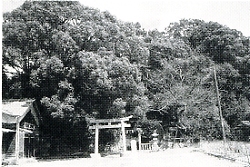 写真2-1-18　宗方八幡神社