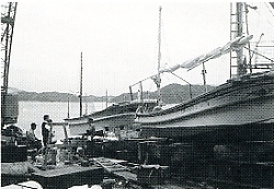 写真3-5-23　現在の造船所と修理中のＦＲＰ船