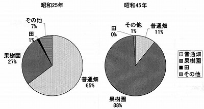 図表2-2-1　伊方町三崎地区の耕地利用の推移