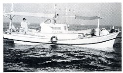 写真1-3-7　速吸瀬戸での一本釣り漁船