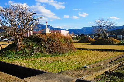 写真2-1-4 八ツ塚群集古墳