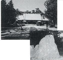 写真3-3-31　伊曽乃神社と一茶の句碑
