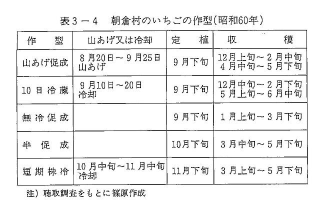 表3-4 朝倉村のいちごの作型(昭和60年)