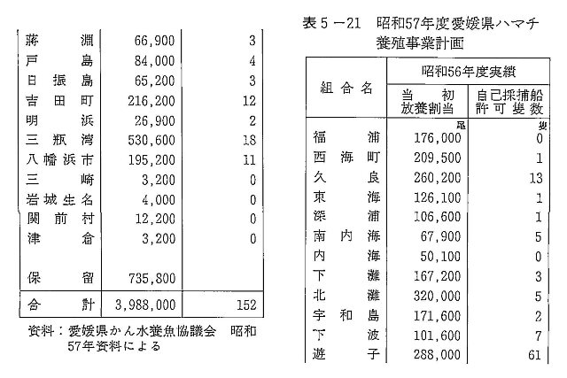 表5-21 昭和57年度愛媛県ハマチ養殖事業計画