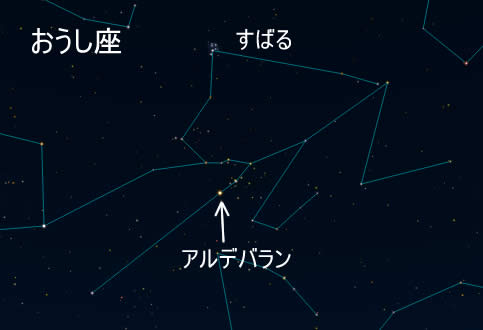 コラム写真