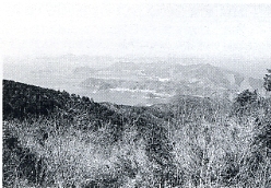 写真3-2-2　柏坂から由良半島の遠望