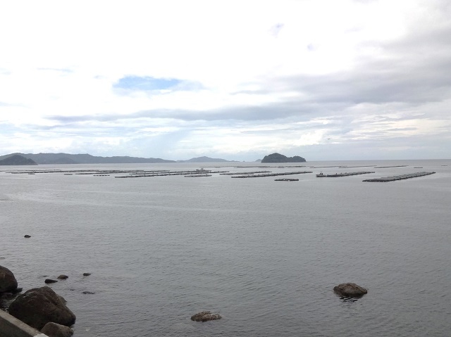 写真2-1-4　九島沖の養殖生け簀