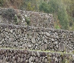 写真2-3-3　棚田の石積み
