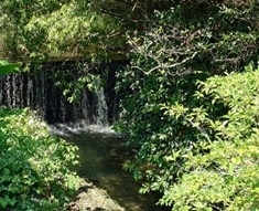 写真2-3-7　奥内の風景