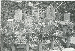 写真3-3-5　横峰寺への山道途中の遍路墓群