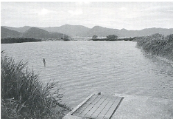 写真3-3-10　宇和町永長地区の溜池・東池