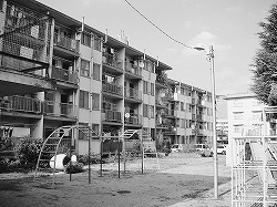 写真2-2-10　県営朝美住宅