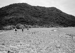 写真2-3-11　由利島の浜（陸けい砂州）