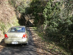 写真1-1-13　法華津峠の旧道