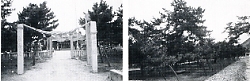 写真2-1-14　弓削神社