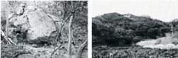 写真2-1-4　岩神神社