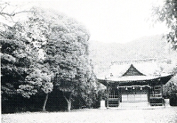 写真2-1-5　大亀八幡大神社