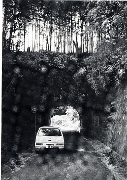 写真2-3-2　旧道夜昼峠頂上のトンネル