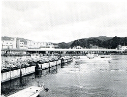 写真2-3-3　八幡浜卸売市場遠景