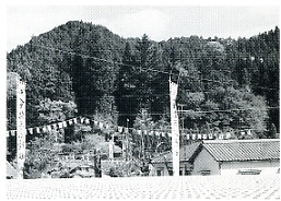 写真1-1-28　三島神社秋祭り