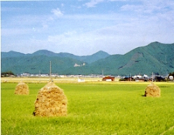 宇和盆地の風物詩「わらぐろ」