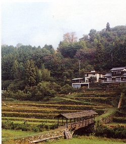 屋根付き橋