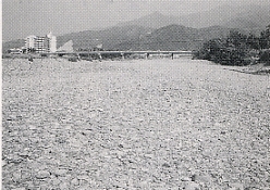 写真1-1-1　加茂川風景