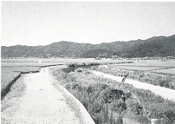 写真2-1-1　区画された水田と深ケ川の支流
