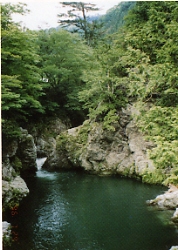 緑が水面に映える安芸貞の渕