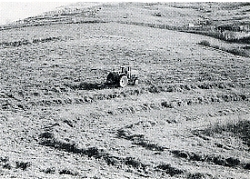 写真1-1-15　刈った牧草を集めるトラクター