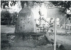 写真3-2-34　阿沼美神社境内の樗堂の句碑