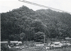 写真3-3-1　岩陰遺跡全景