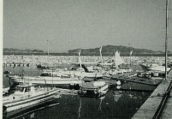 写真1-2-25　二神漁港の停泊漁船