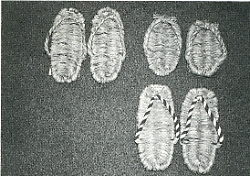 写真2-2-27　草履と足半(あしなか)