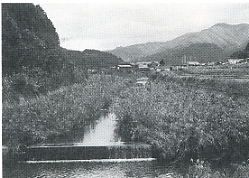 写真3-2-41　岩瀬川