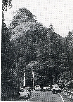 写真1-1-17　権現山（豊峰山）