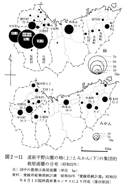 図2-11　道前平野山麓の柿（上）とみかん（下）の集団的栽培面積の分布