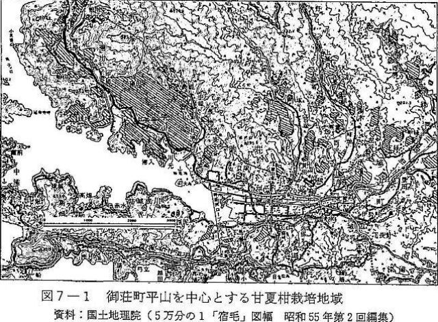 図7-1　御荘町平山を中心とする甘夏柑栽培地域
