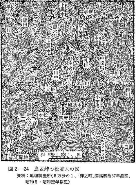 図2-24　鳥坂峠の松並木の図
