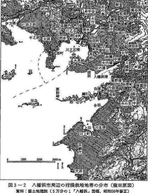 図3-2　八幡浜市周辺の柑橘栽培地帯の分布