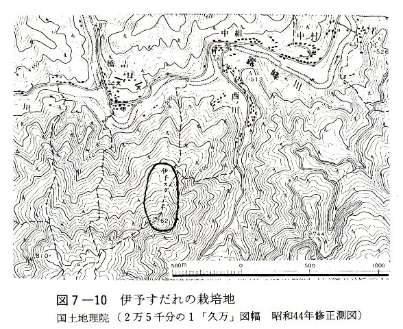 図7-10　伊予すだれの栽培地