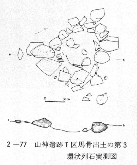 ２－７７　山神遺跡Ⅰ区馬骨出土の第３環状列石実測図
